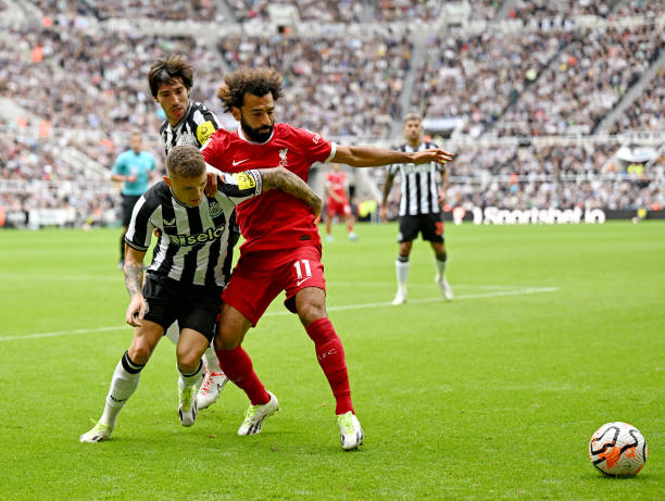 种期待转化 种期待转化