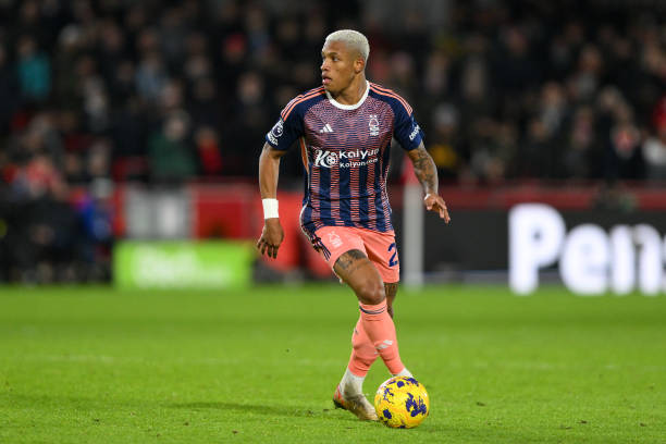 罗纳尔迪尼 罗纳尔迪尼