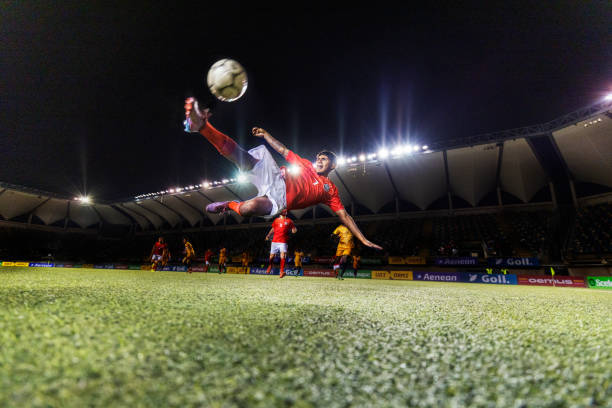 桂花飘香 桂花飘香